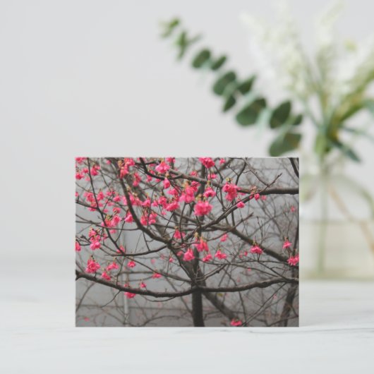 Cherry Blossoms Postkarte (Stehend Vorderseite)
