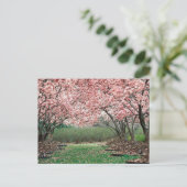 Cherry Blossoms Postkarte (Stehend Vorderseite)