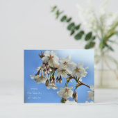 Cherry Blossoms Postkarte (Stehend Vorderseite)