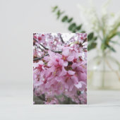 Cherry Blossoms Postkarte (Stehend Vorderseite)