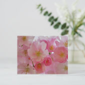 Cherry Blossoms Postkarte (Stehend Vorderseite)