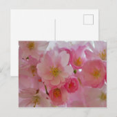 Cherry Blossoms Postkarte (Vorne/Hinten)