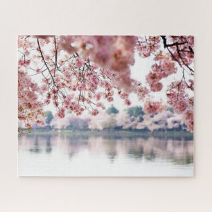 Cherry Blossoms Puzzle