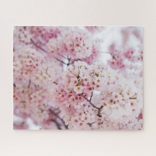 Cherry Blossoms Puzzle (Horizontal)