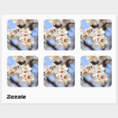 Cherry Blossoms Quadratischer Aufkleber (Blatt)