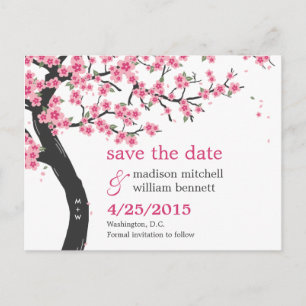 Cherry Blossoms Save the Date Postkarte