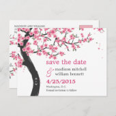 Cherry Blossoms Save the Date Postkarte (Vorne/Hinten)