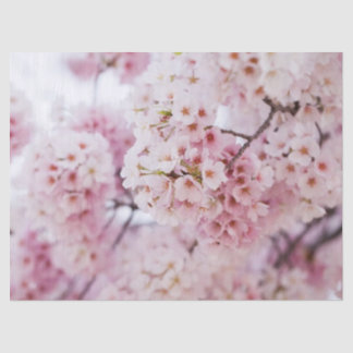 Cherry Blossoms Seidenpapier