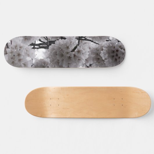 Cherry Blossoms Skateboard (Horizontal)
