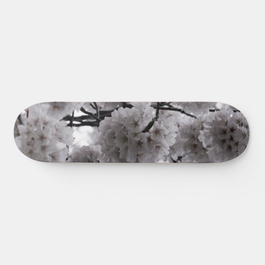 Cherry Blossoms Skateboard (Horizontal)