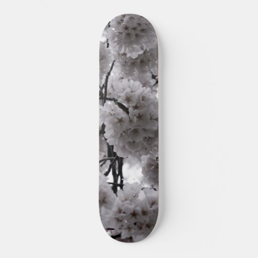 Cherry Blossoms Skateboard (Vorderseite)