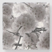 Cherry Blossoms Steinuntersetzer (Vorderseite)