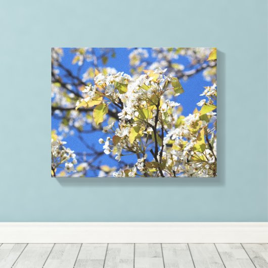 Cherry Blossoms Stretched Canvas Print Leinwanddruck (Insitu (Holzboden))