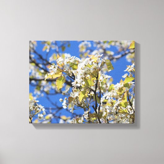 Cherry Blossoms Stretched Canvas Print Leinwanddruck (Vorderseite)