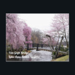 Cherry Blossoms Van Gogh Bridege Lake Anne Reston Postkarte<br><div class="desc">Hübsches Foto der Kirschblüten an der Van-Gogh-Brücke,  Anne-See,  Reston Virginia.</div>