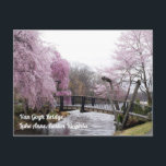 Cherry Blossoms Van Gogh Bridege Lake Anne Reston Postkarte<br><div class="desc">Hübsches Foto der Kirschblüten an der Van-Gogh-Brücke,  Anne-See,  Reston Virginia.</div>