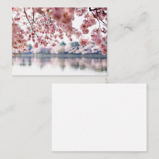 Cherry Blossoms Visitenkarte (Vorne/Hinten)
