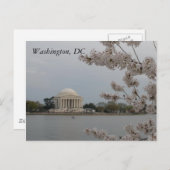 Cherry Blossoms: Washington, D.C. Postcard Postkarte (Vorne/Hinten)