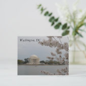 Cherry Blossoms: Washington, D.C. Postcard Postkarte (Stehend Vorderseite)
