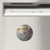 Cherry Blossoms Washington DC Magnet (In Situ (Geschirrspüler))