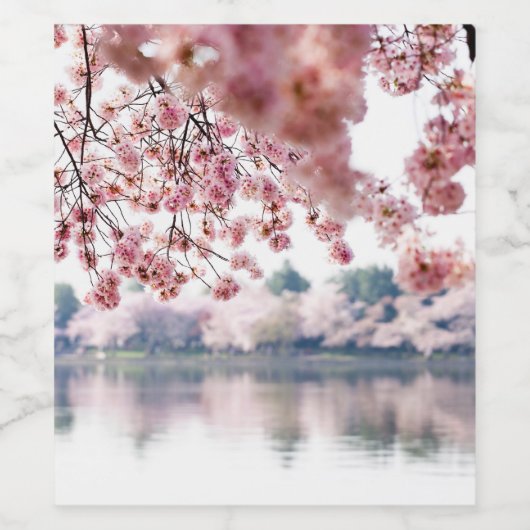 Cherry Blossoms Weinetikett (Einzelnes Label)