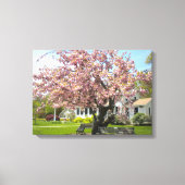 Cherry Blossoms Wrapped Canvas Leinwanddruck (Vorderseite)