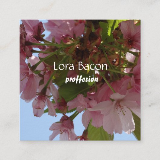 Cherry blüht eine benutzerdefinierte Visitenkarte (Vorderseite)