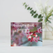 Cherry blüht in Huntington Beach, Kalifornien Postkarte (Stehend Vorderseite)