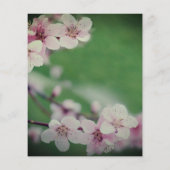 Cherry Blume auf grünem Hintergrund Blumenzehen Flyer (Hinten)