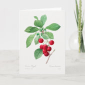 Cherry Botanical Print Karte (Vorderseite)
