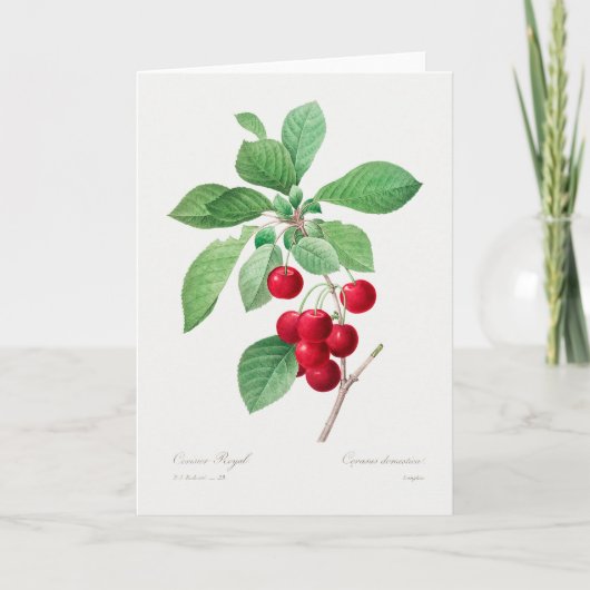 Cherry Botanical Print Karte (Vorderseite)