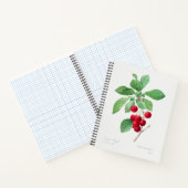 Cherry Botanical Print Notizblock (Innenseite)