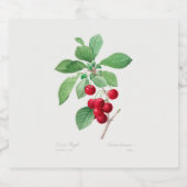 Cherry Botanical Print Schaumweinetikett (Einzelnes Label)