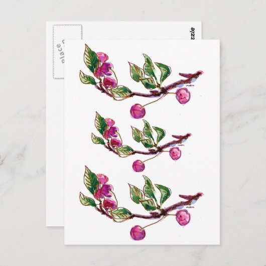 Cherry Branch Postkarte (Vorne/Hinten)