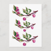 Cherry Branch Postkarte (Vorderseite)