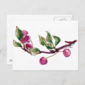 Cherry Branch Postkarte (Vorne/Hinten)