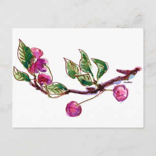 Cherry Branch Postkarte