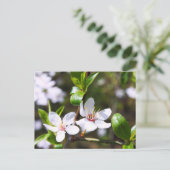 Cherry Couple Postkarte (Stehend Vorderseite)