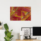 Cherry Creek Jasper Poster (Heimbüro)