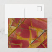 Cherry Creek Jasper Postkarte (Vorne/Hinten)