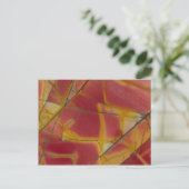 Cherry Creek Jasper Postkarte (Stehend Vorderseite)