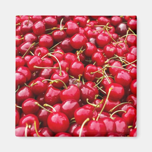 Cherry Galore Magnet (Vorne)