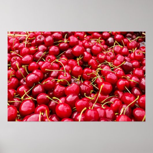 Cherry Galore Poster (Vorne)