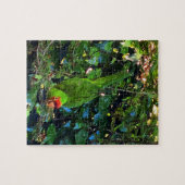 Cherry Headed Conure #1 Jigsaw Puzzle (Horizontal)