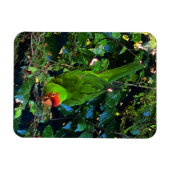 Cherry Headed Conure #1 Magnet (Horizontal)