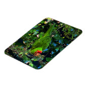 Cherry Headed Conure #1 Magnet (Linke Seite)