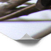 Cherry-Headed Conure 1 Poster (Ecke)