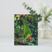 Cherry Headed Conure #1 Postkarte (Stehend Vorderseite)