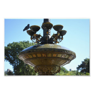 Cherry Hill Fountain Central Park NYC Fotodruck
