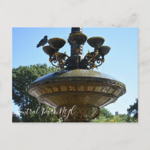 Cherry Hill Fountain Central Park NYC Postkarte